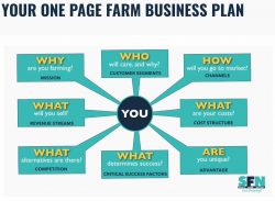 Creating a Business Plan