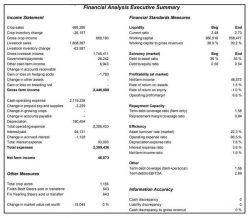Developing Financial Statements