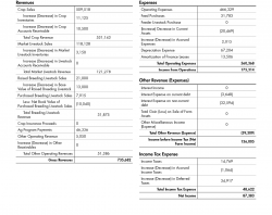 Interpreting Financial Statements & Measures