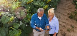 Farm Financial Management