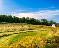 Land, Capital, & Credit