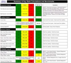 Developing Financial Ratios & Measures
